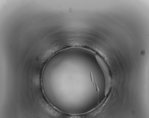 X0000090780353200707271554