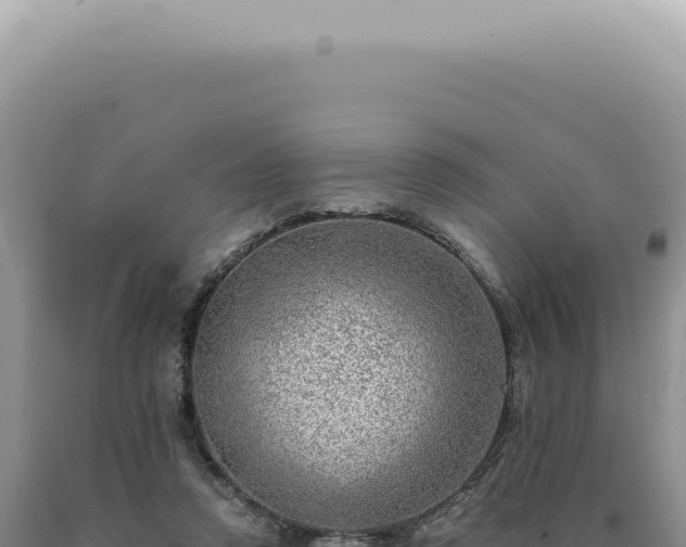 X0000090780354200707271554