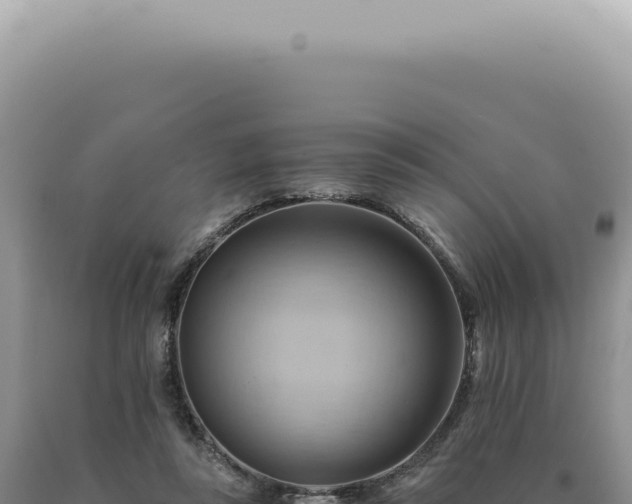 X0000090780355200707271554