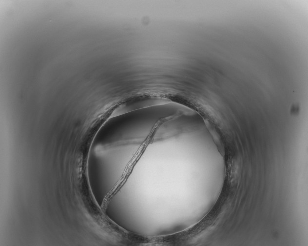 X0000090780356200707271554