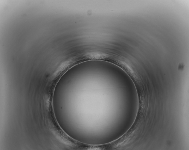 X0000090780357200707271554