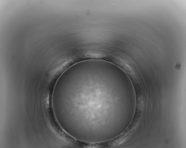X0000090780358200707271554