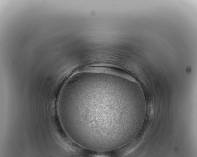 X0000090780360200707271554