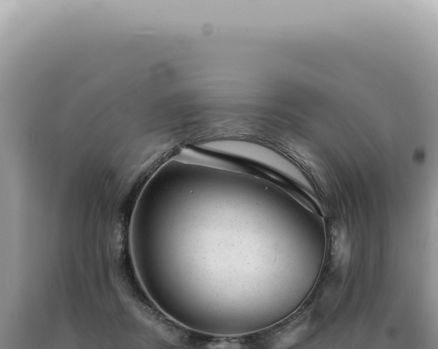 X0000090780362200707271554