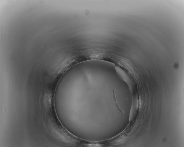 X0000090780363200707271554