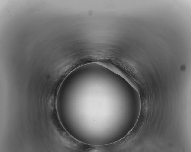 X0000090780364200707271554