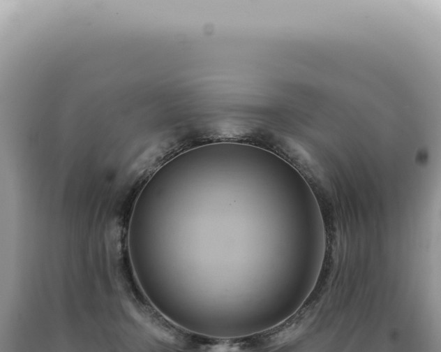 X0000090780366200707271554