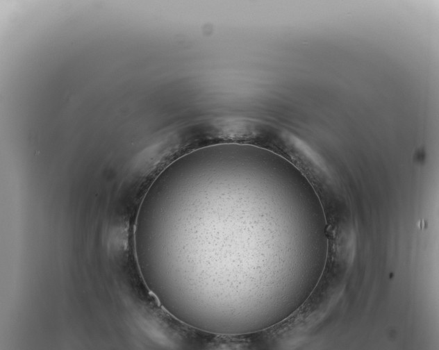 X0000090780368200707271554