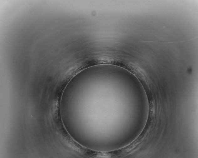 X0000090780369200707271554