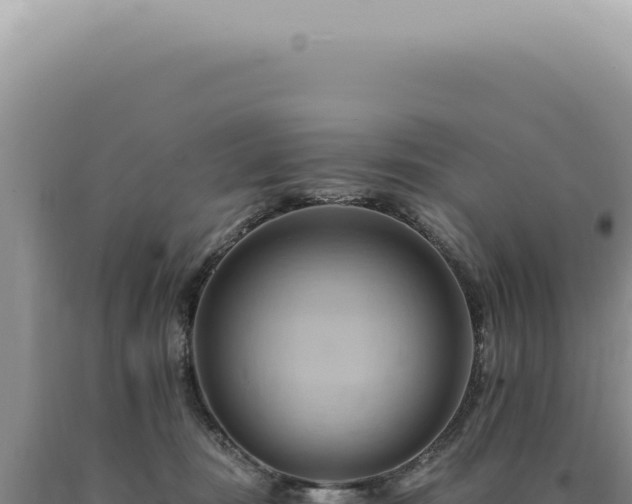 X0000090780371200707271554