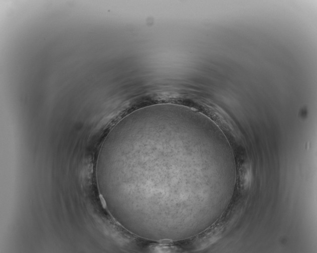X0000090780372200707271554