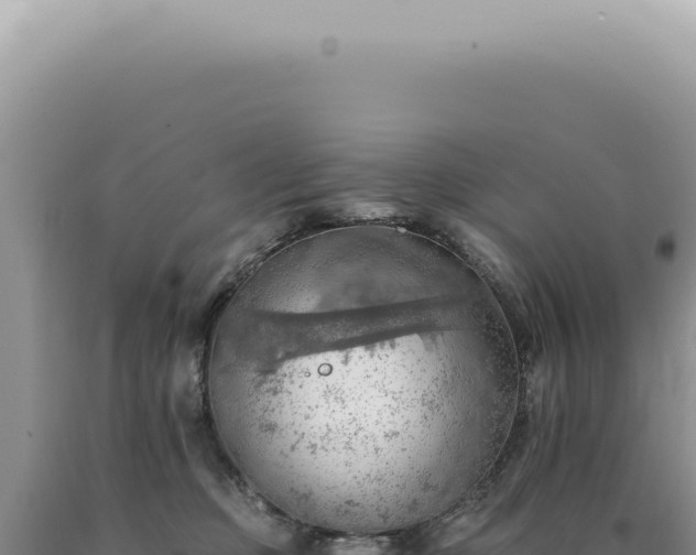 X0000090780373200707271554
