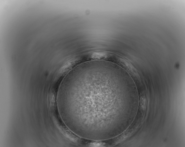 X0000090780375200707271554