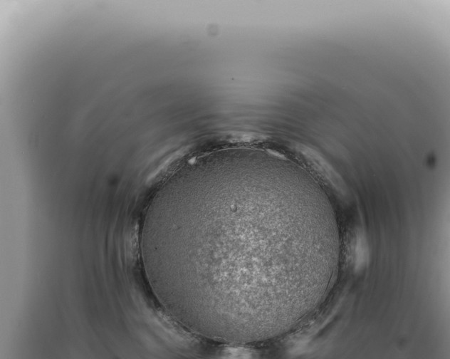 X0000090780376200707271554