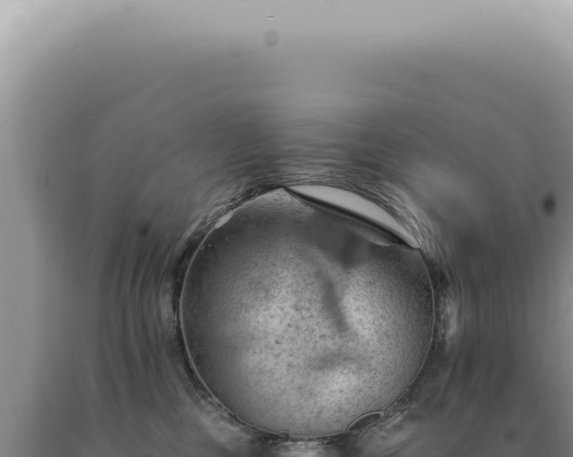 X0000090780377200707271554