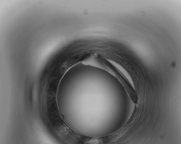X0000090780383200707271554