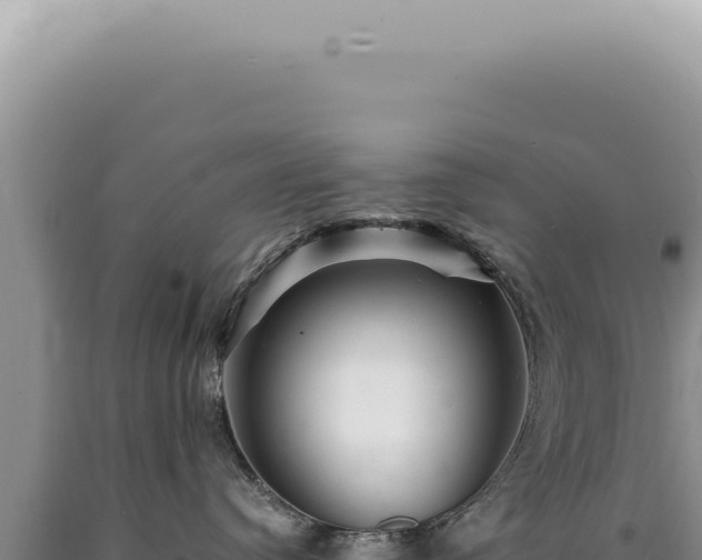 X0000090780384200707271554