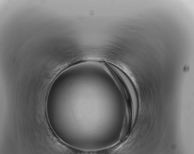 X0000090780385200707271554