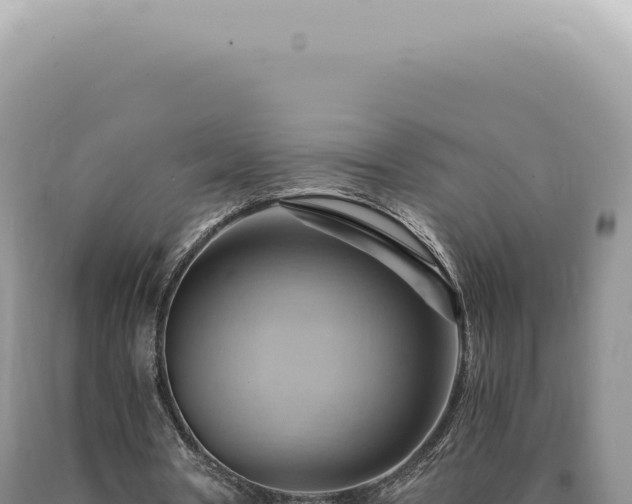 X0000090780386200707271554