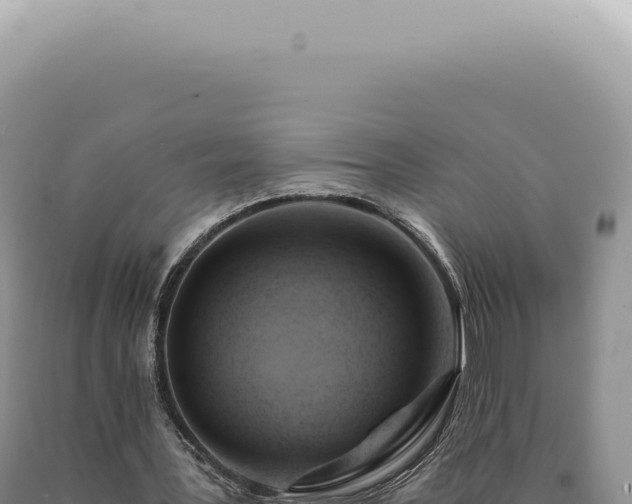 X0000090780387200707271554