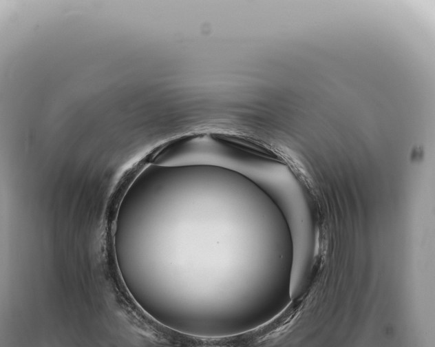 X0000090780388200707271554