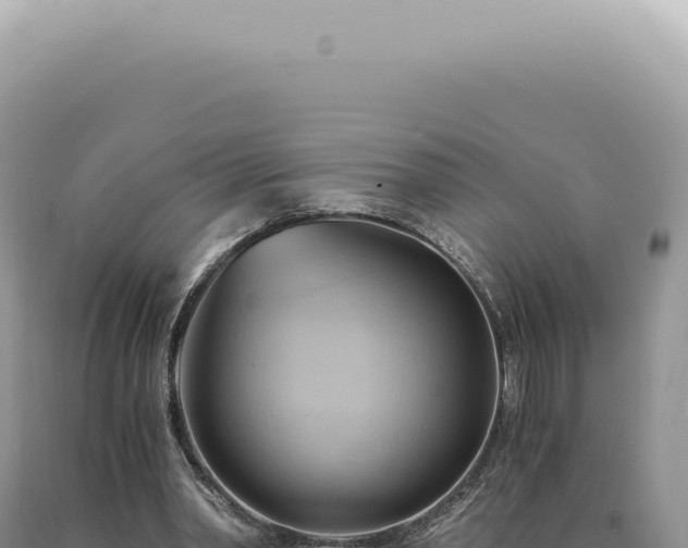 X0000090780390200707271553