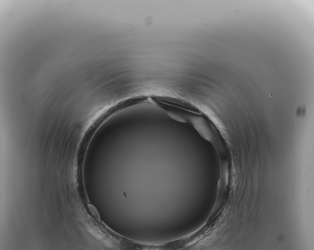X0000090780391200707271553