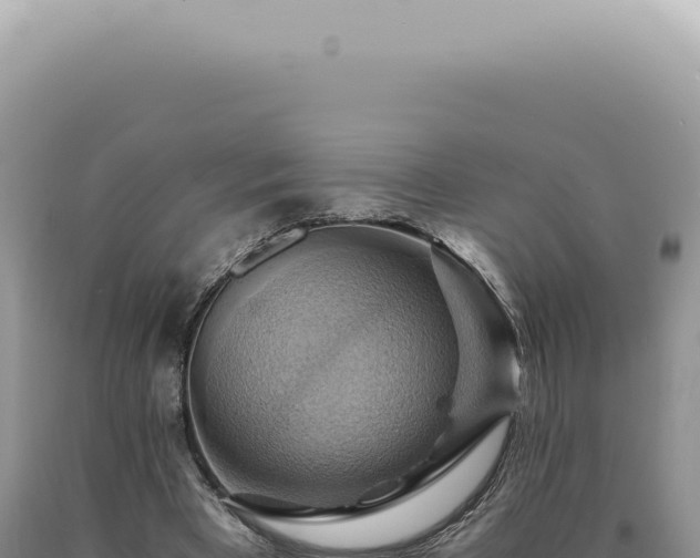 X0000090780393200707271553