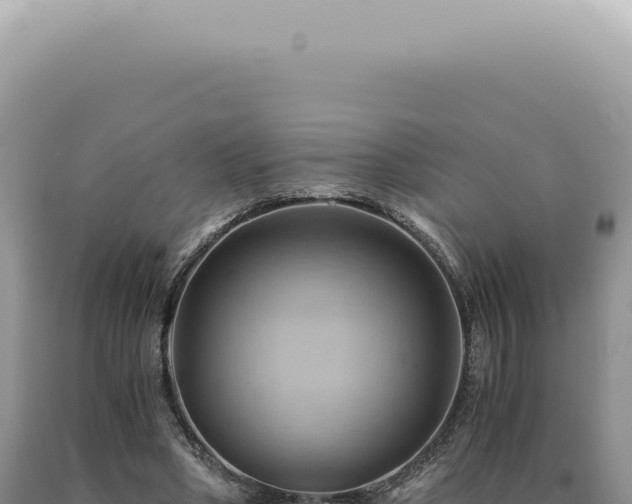 X0000090780394200707271553