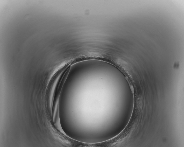 X0000090780395200707271553