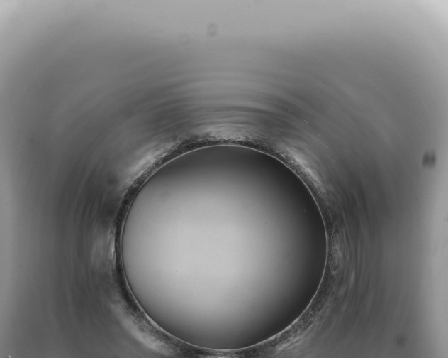 X0000090780398200707271553