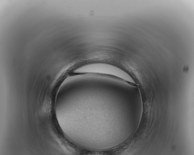 X0000090780400200707271553