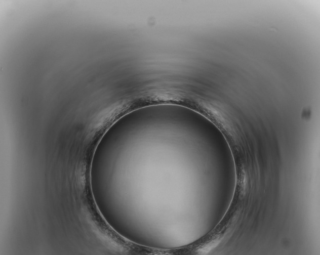X0000090780402200707271553