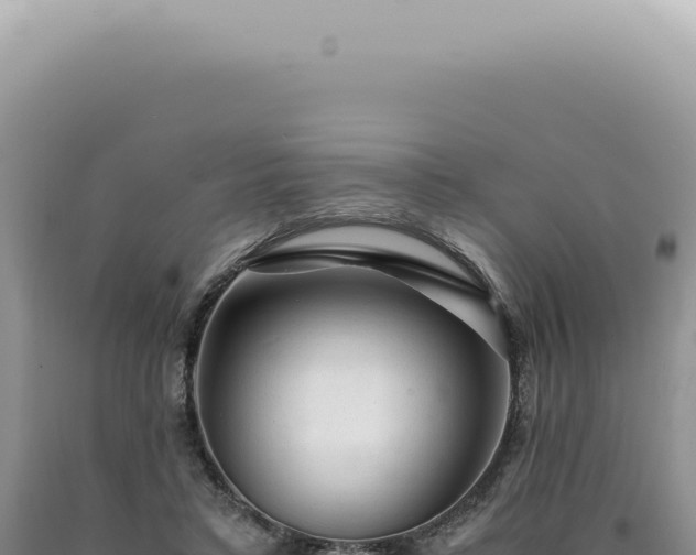 X0000090780403200707271553