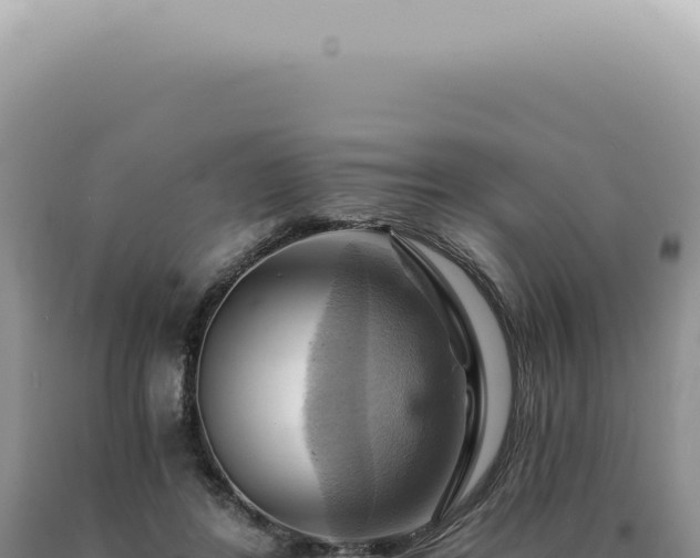 X0000090780404200707271553