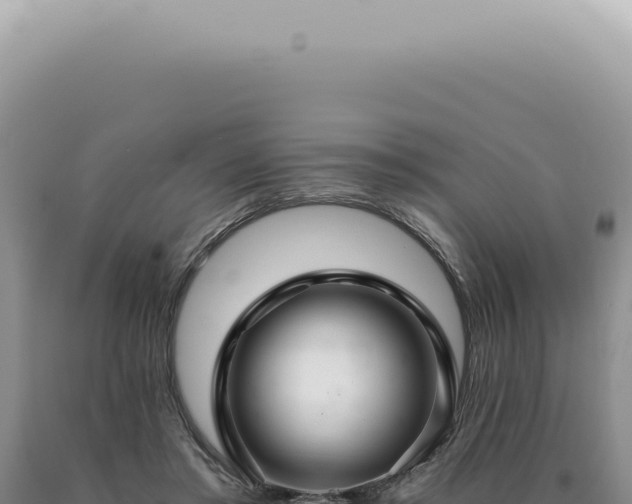 X0000090780405200707271553