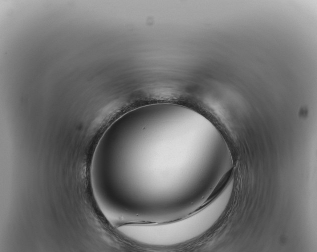 X0000090780407200707271553