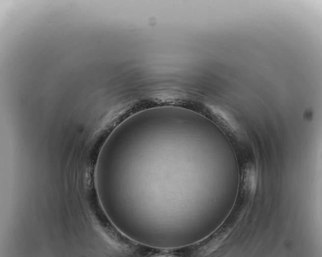 X0000090780408200707271553
