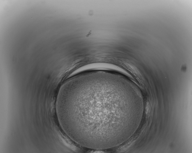 X0000090780409200707271553