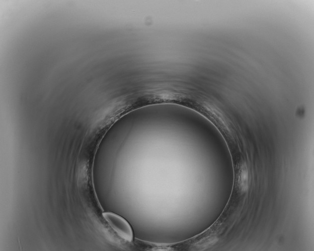 X0000090780410200707271553
