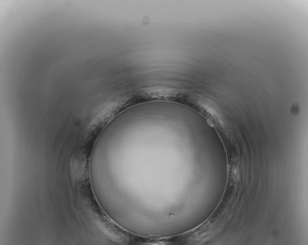 X0000090780411200707271553