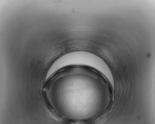 X0000090780412200707271553