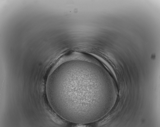X0000090780413200707271553