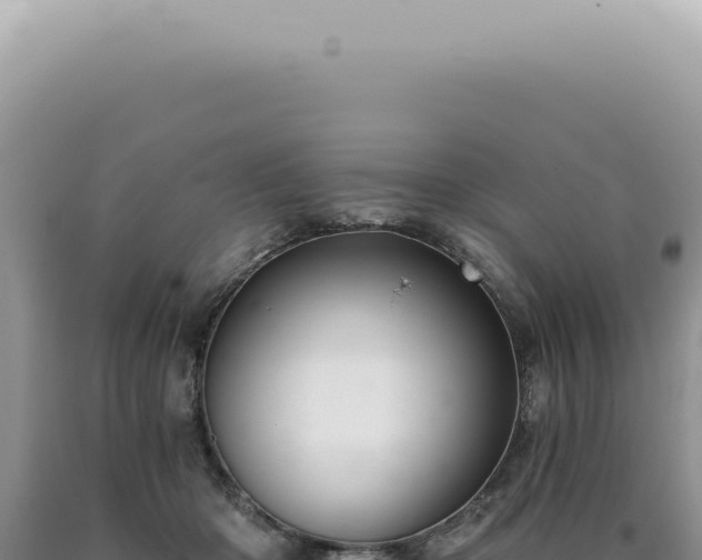 X0000090780414200707271553