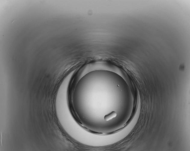 X0000090780415200707271553