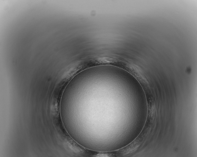 X0000090780418200707271553
