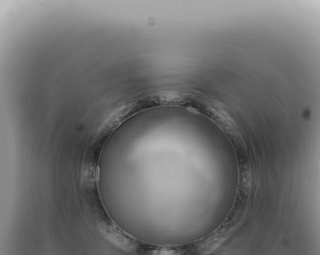 X0000090780419200707271553