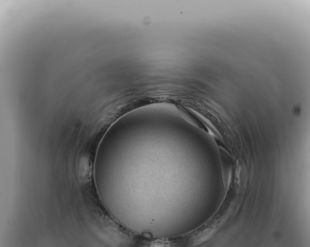 X0000090780420200707271553