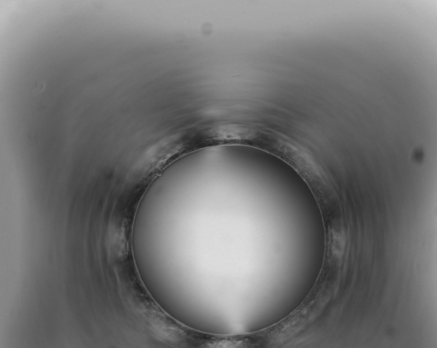 X0000090780422200707271553