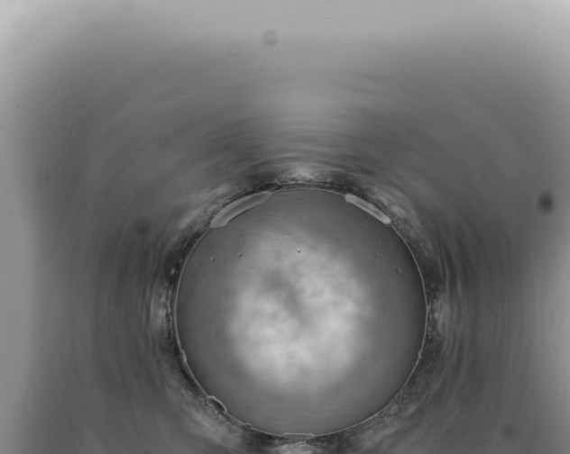X0000090780423200707271553